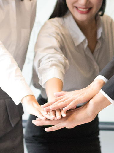 專家型顧問(wèn)團(tuán)隊(duì)